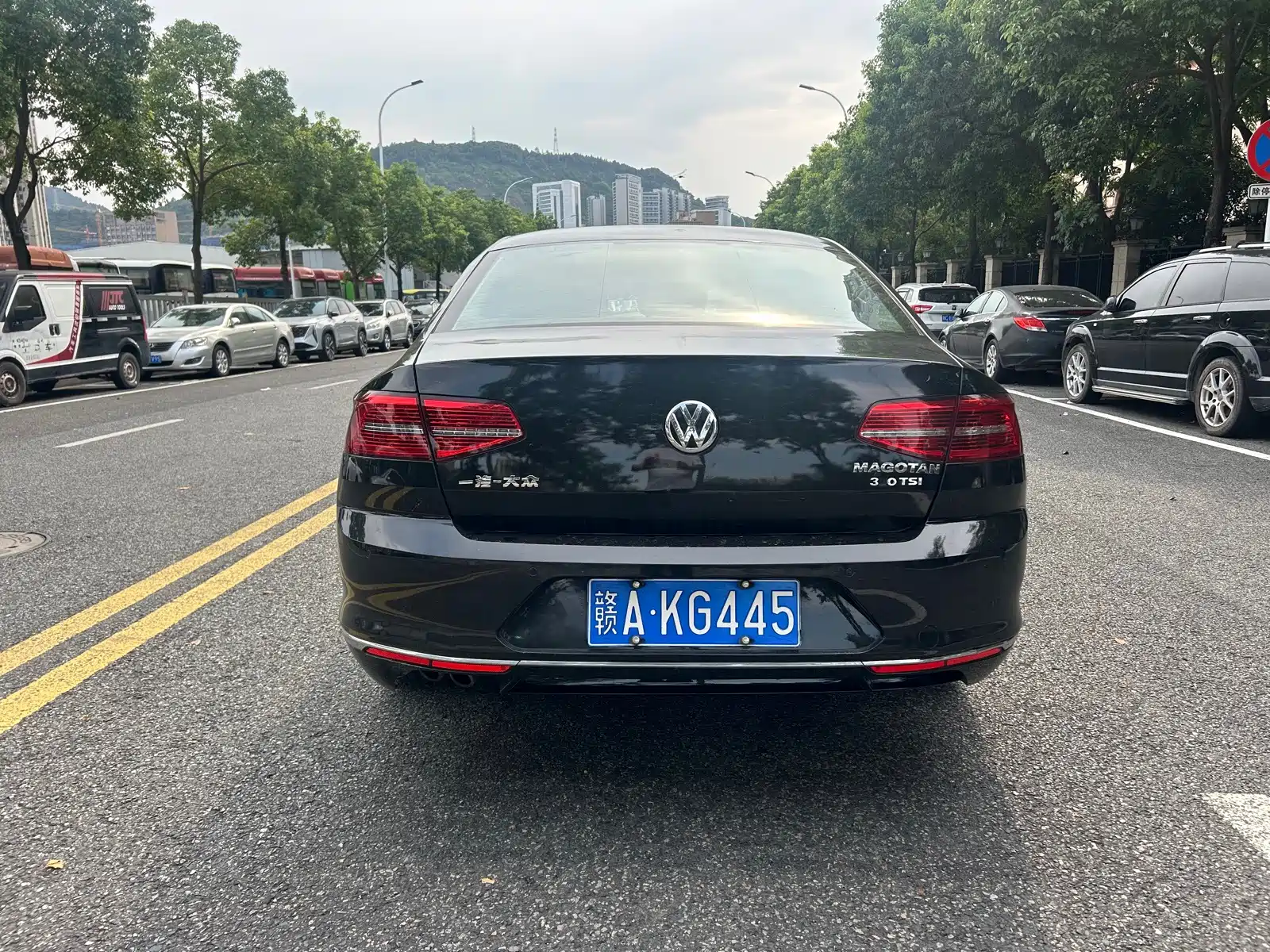 صورة 6 - Volkswagen Magotan
