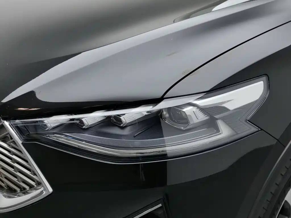 Haval F7 2021 2021 2.0T AWD i-Joy