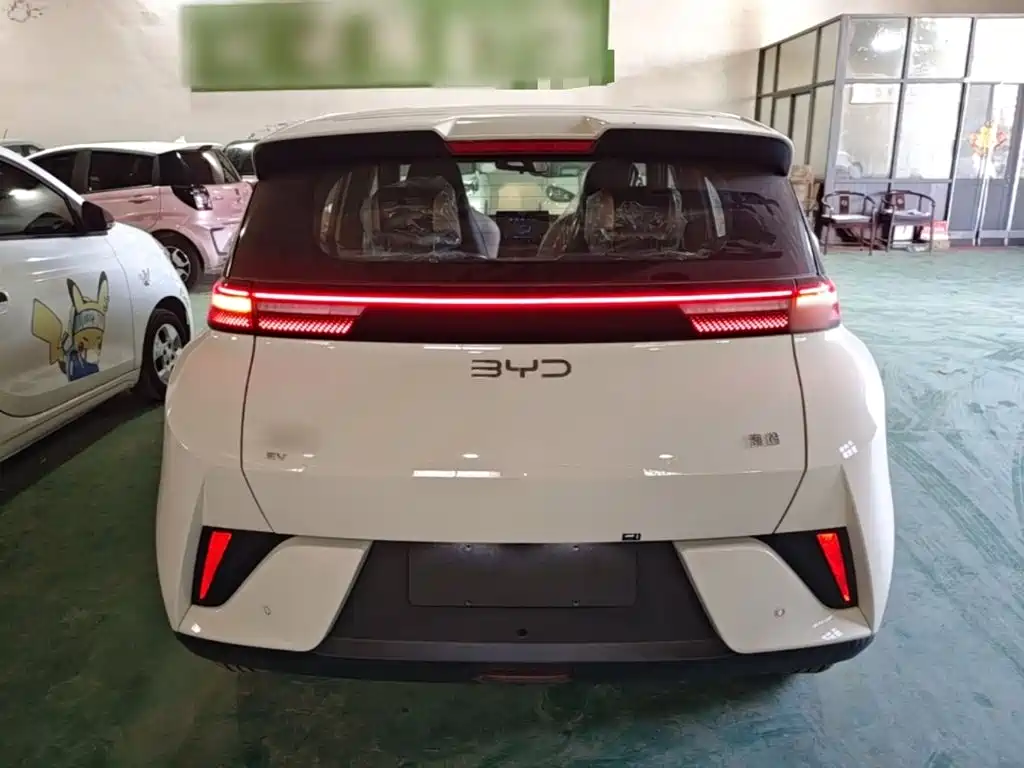 BYD Seagull 2026 2025 Smart Drive Edition 305km Vitality Version