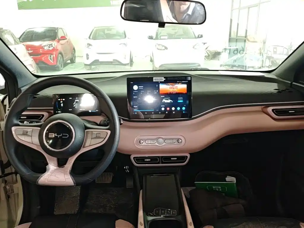 BYD Seagull 2026 2025 Smart Drive Edition 305km Vitality Version