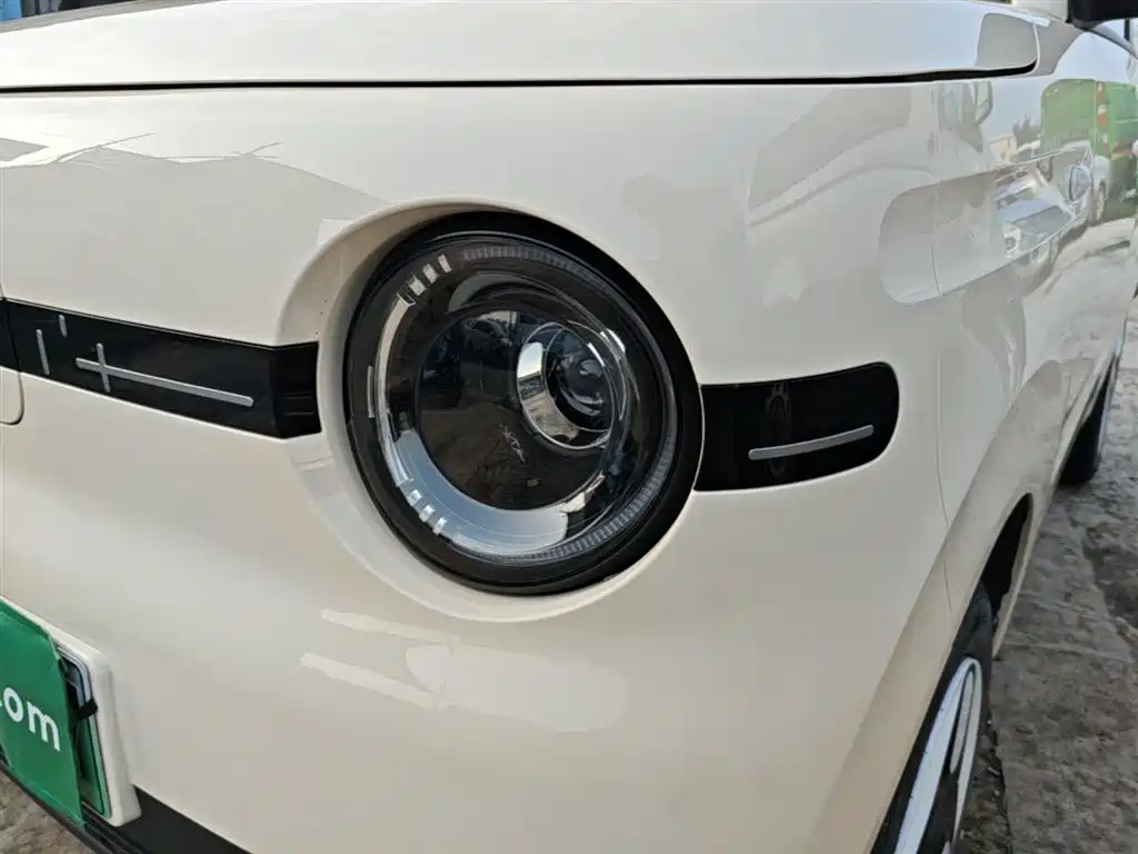 Geely Galaxy Panda 2025 Panda mini 210km Vitality Bear фото 24