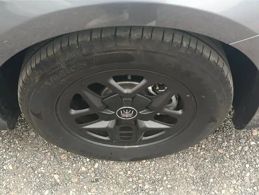 BYD Qin PLUS 2025 DM-i Smart Drive 55KM Leader фото 6