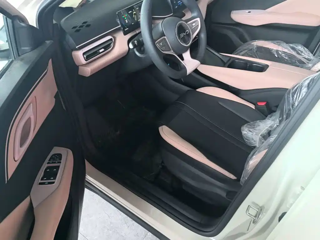 BYD Seagull 2026 2025 Smart Drive Edition 305km Vitality Version