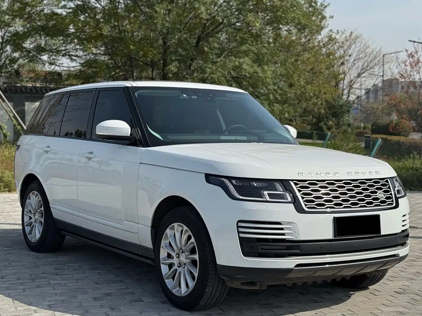 Land Rover Range Rover 2021 3.0 L6 Heritage Edition фото 4