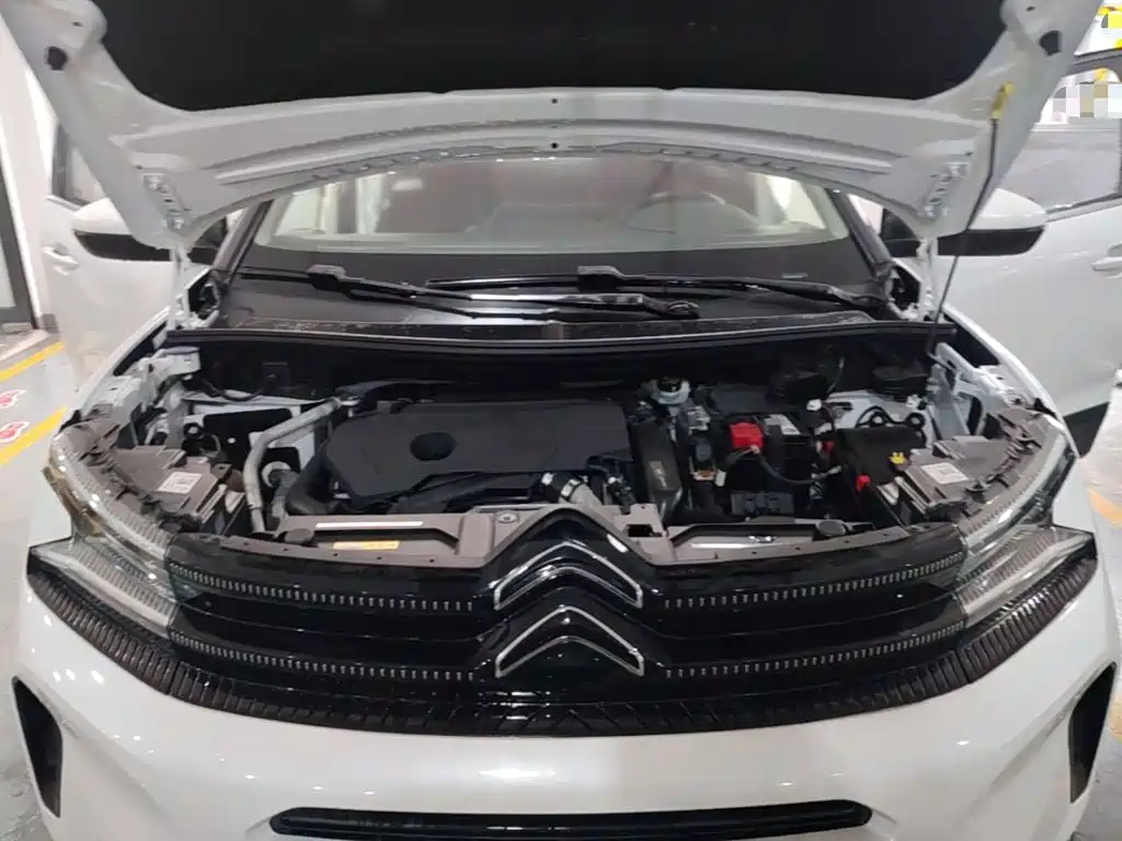 Фото 20 - Citroën Tianyi C5 AIRCROSS
