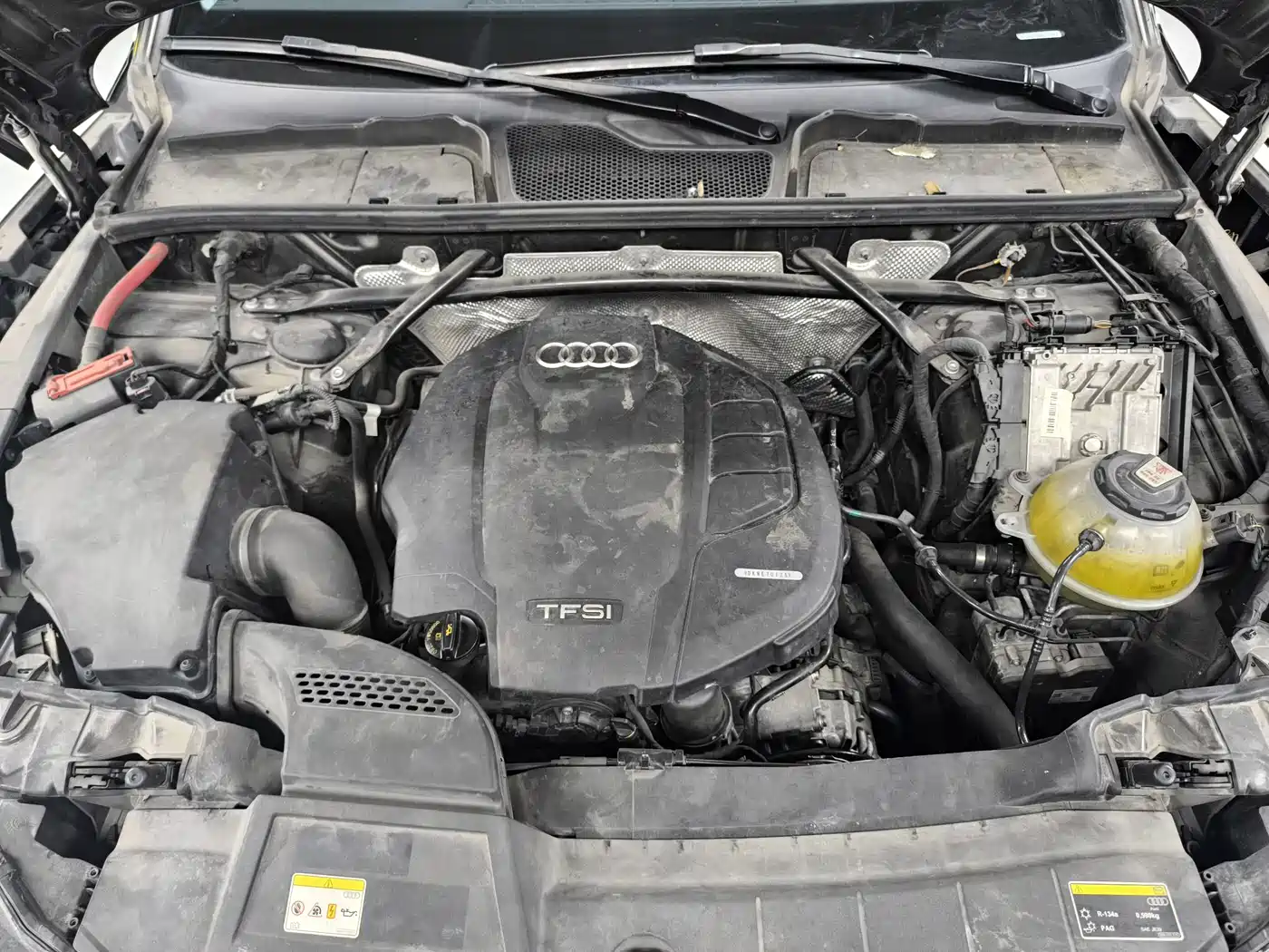 Audi Q5L 2020 45 TFSI Premium Elegance фото 14