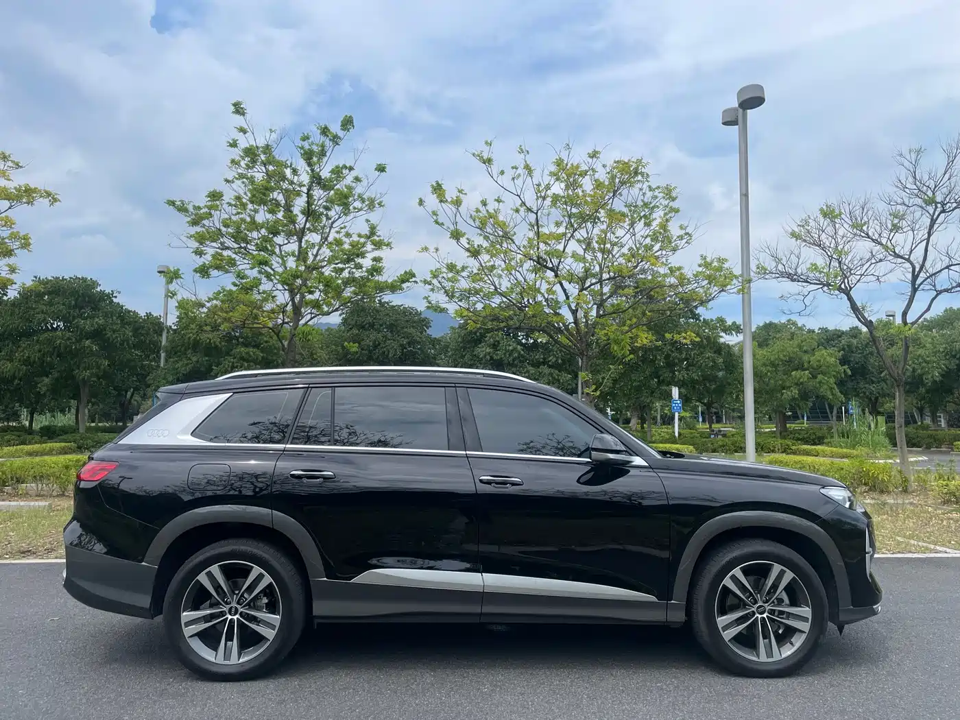 Audi Q6 2025 2025 40 TFSI quattro Commemorative Edition Yulin Package 7-Seater