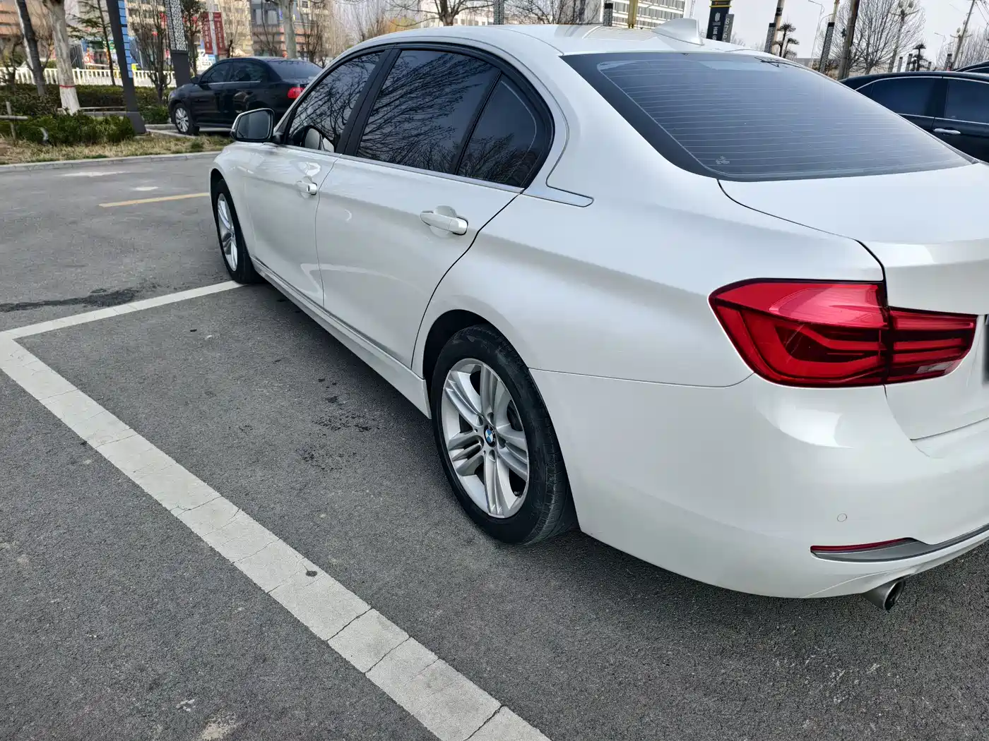 BMW 3 Series 2018 318Li фото 6