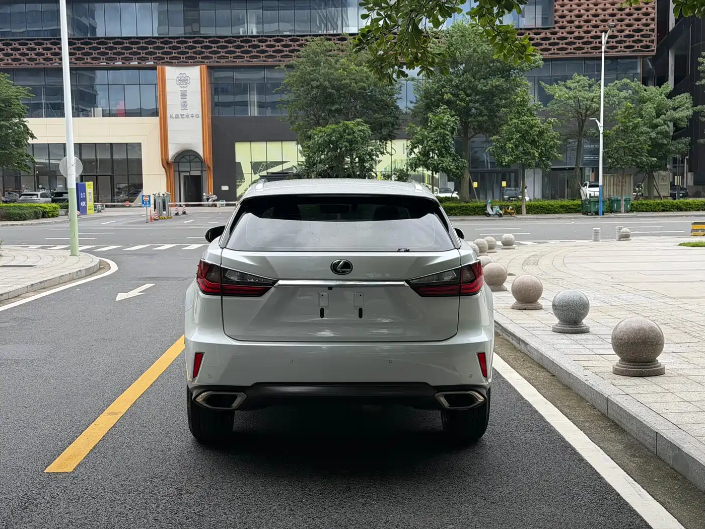 Lexus RX 2016 300 2WD Elite Edition (China V) фото 15