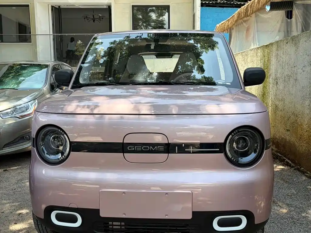 Geely Galaxy Panda 2026 2025 Model Year 210km Panda Kart