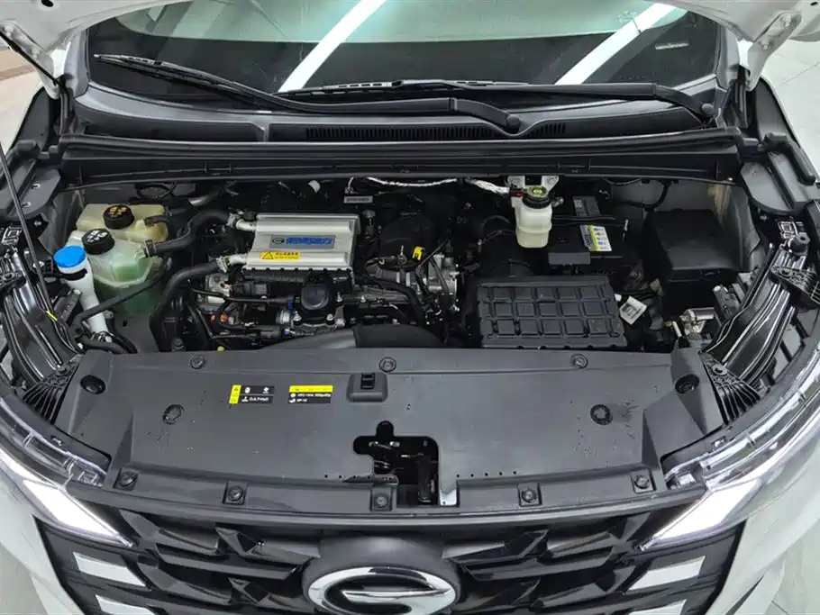 GAC TRUMPCHI M6