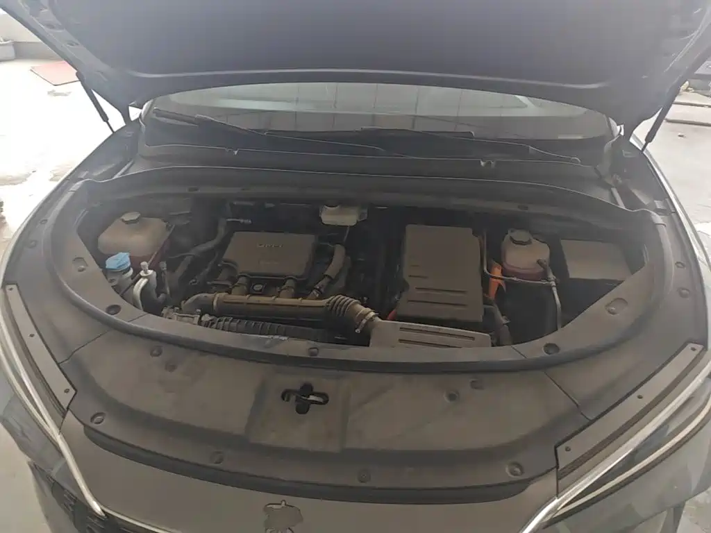 BYD Song L DM-i 2025 2025 Smart Drive 160km Premium