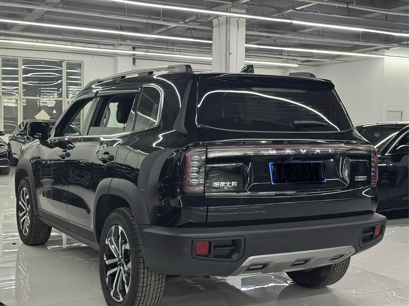 Haval Big Dog 2024 1.5T DCT Border Collie Edition фото 9