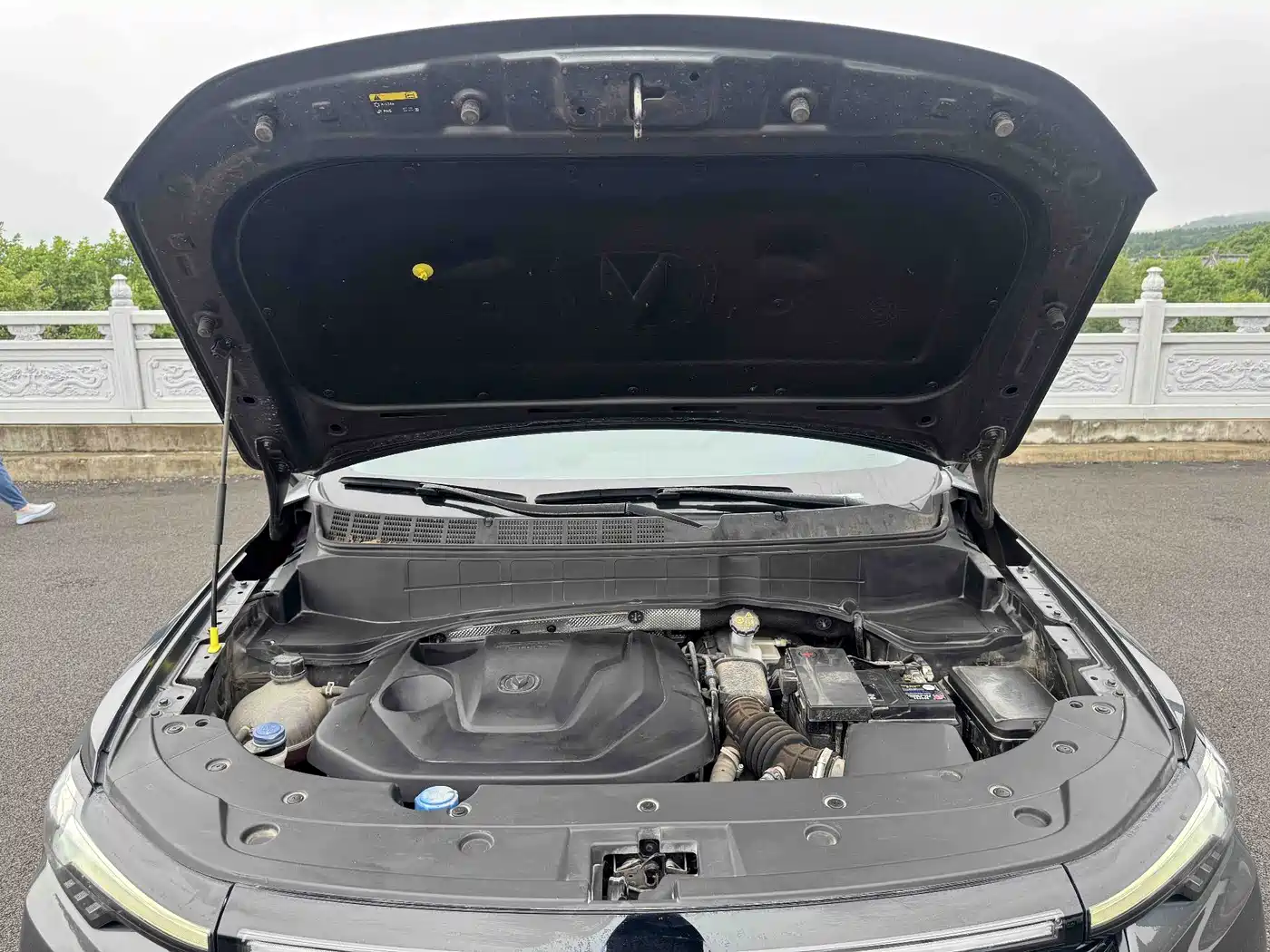 Changan CS35 PLUS 2023 2023 Enjoyment Edition 1.4T DCT Luxury