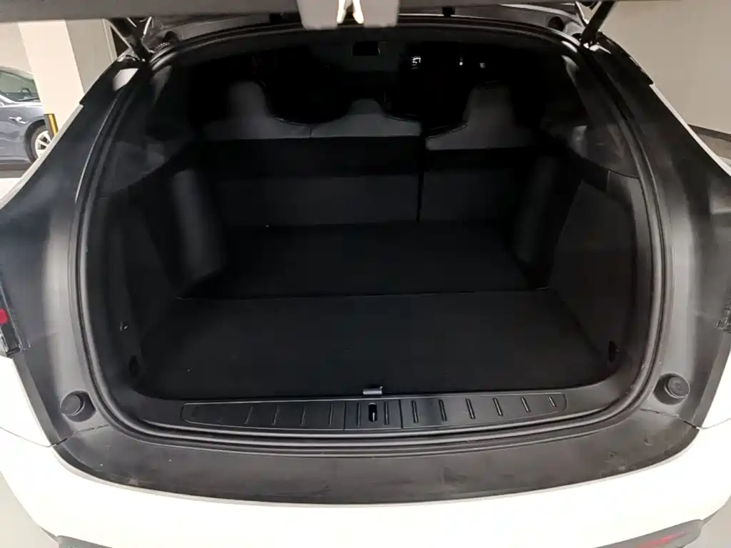 Фото 19 - Tesla Model X