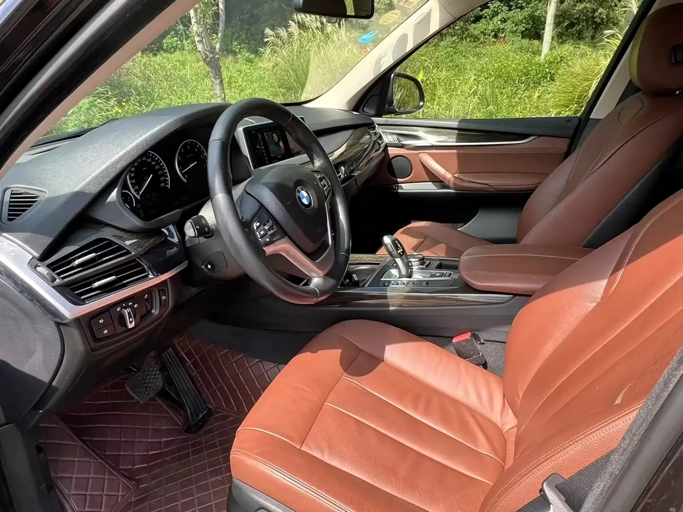 BMW X5 (Import) 2014 xDrive35i Luxury фото 4