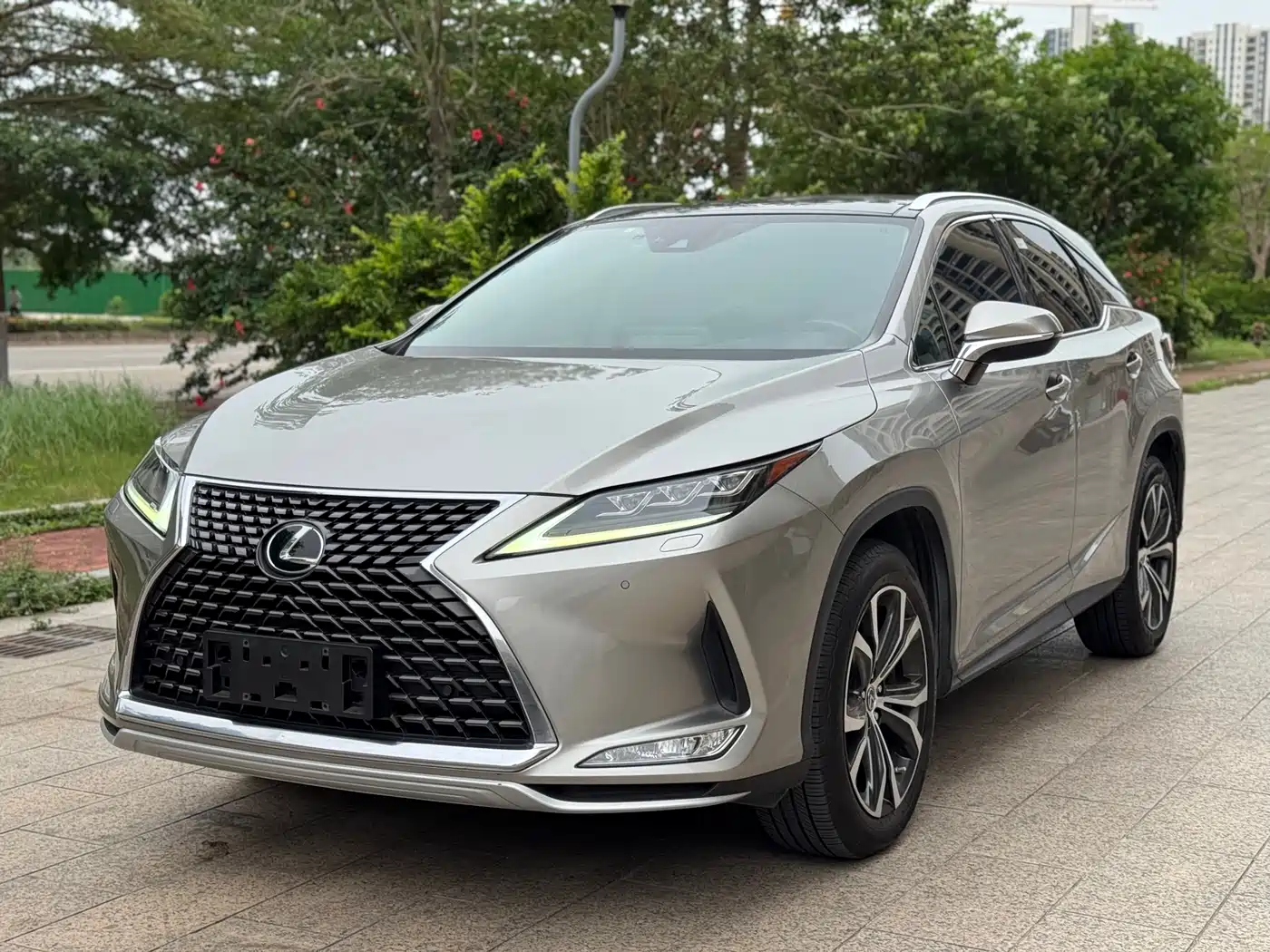 LEXUS RX