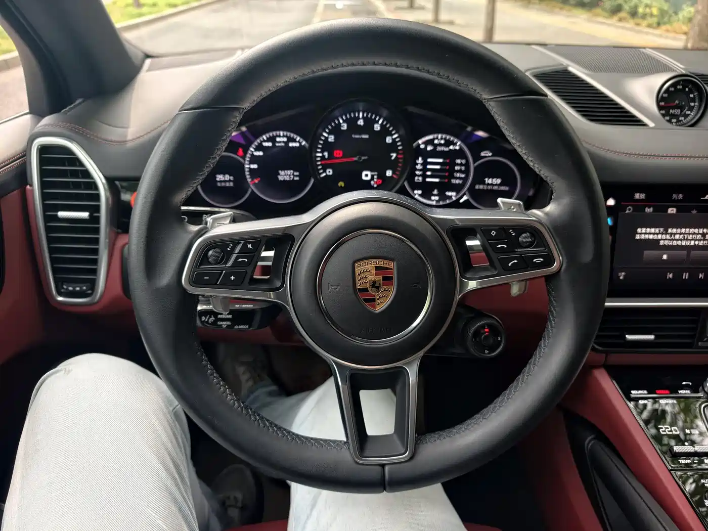 Porsche Cayenne 2022 Cayenne 3.0T Platinum Edition фото 12