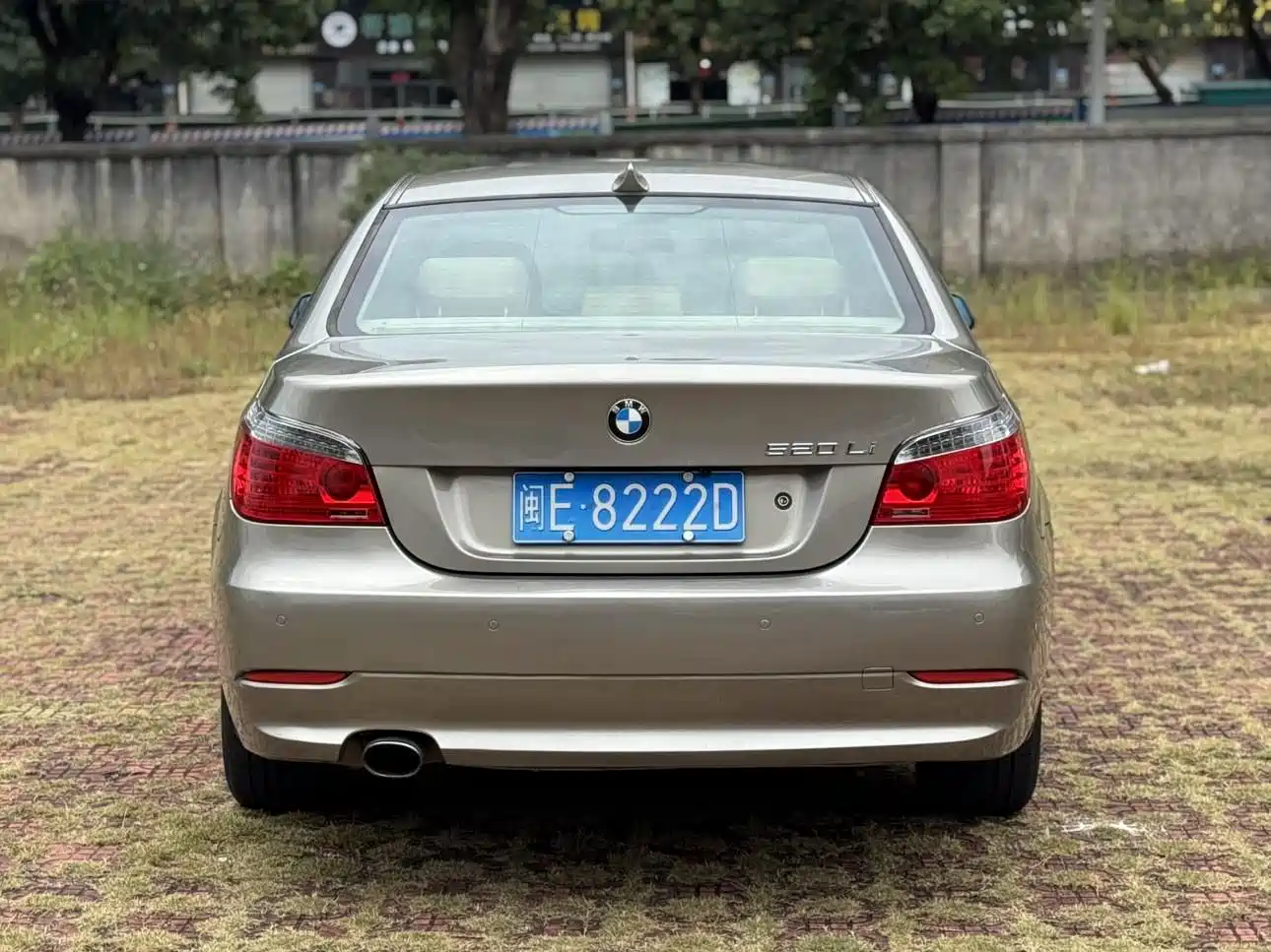 BMW 5 Series 2010 520Li Leading фото 8