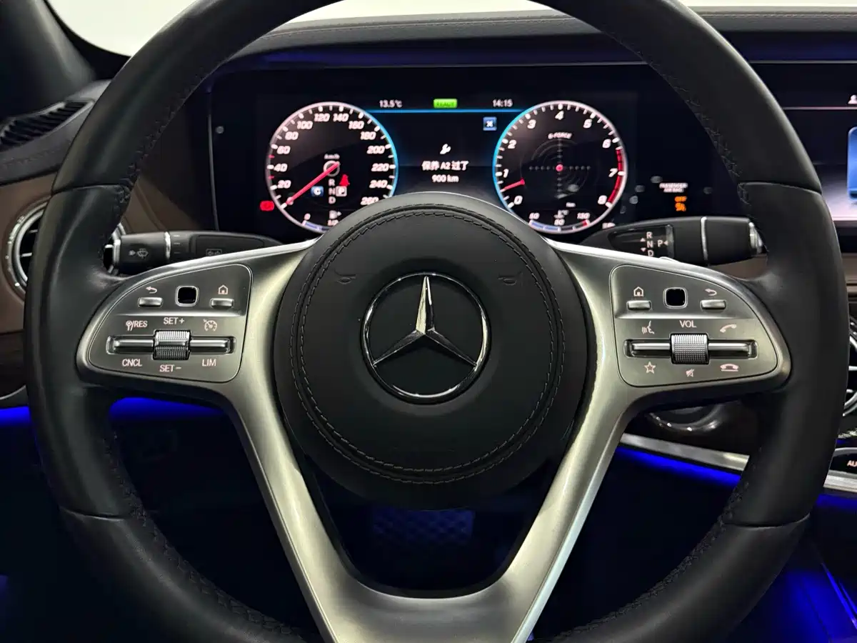 Mercedes-Benz S-Class 2020 S 350 L Business Edition Collector's Version фото 10