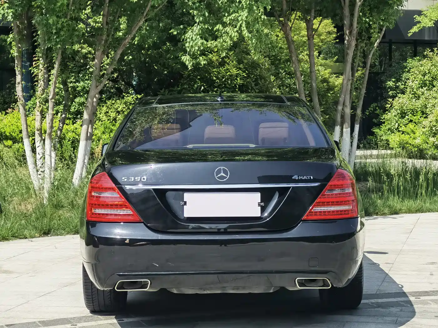 Mercedes-Benz S-Class 2010 S 300 L Luxury фото 5
