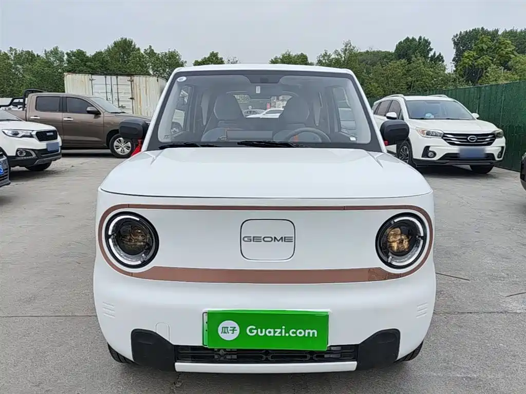 Geely Galaxy Panda 2025 Panda mini 210km Vitality Bear фото 3