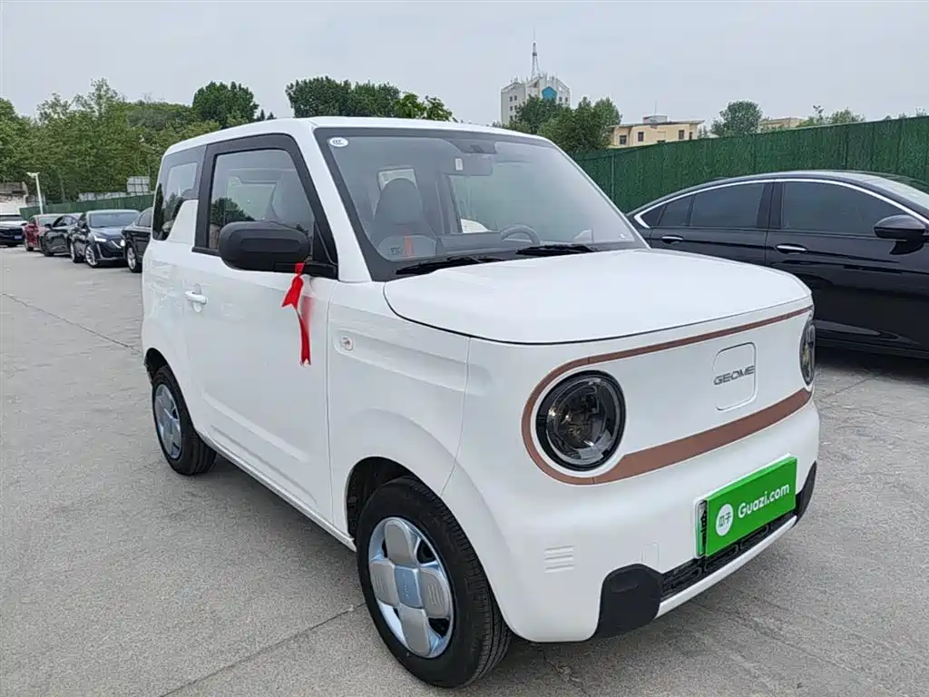 Geely Galaxy Panda 2025 Panda mini 210km Vitality Bear фото 4