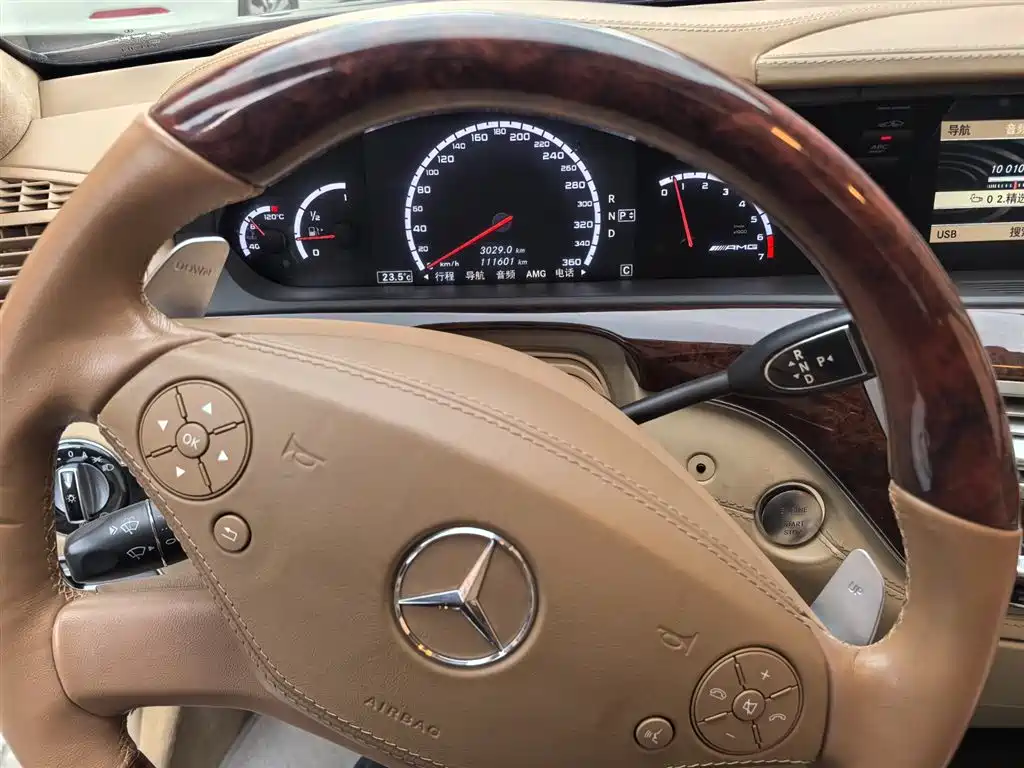 Mercedes-Benz S-Class AMG 2010 AMG S 65 фото 18