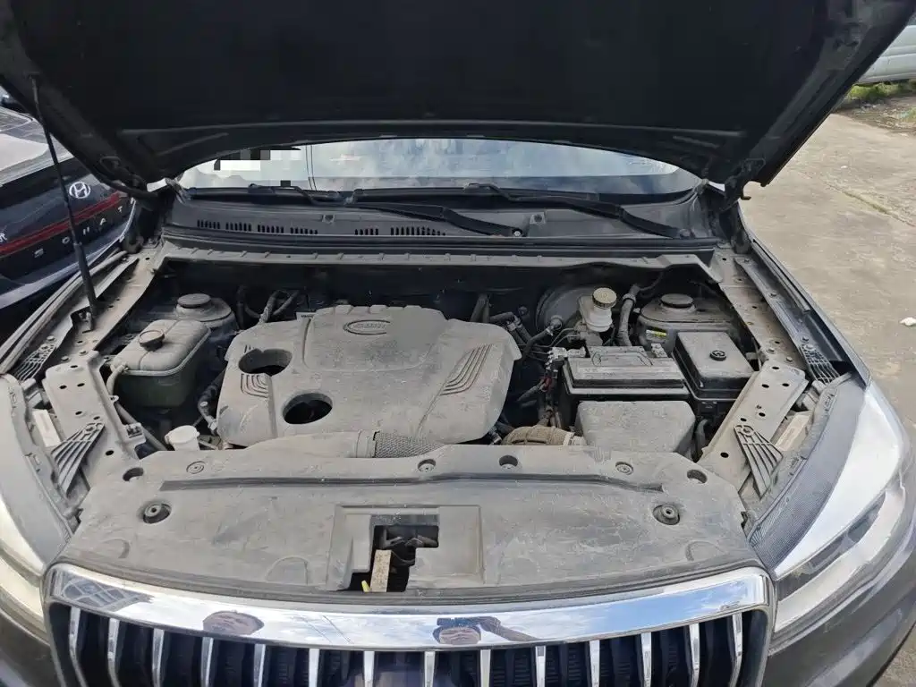 SWM Motor SWM G05 2019 2019 2.0L Manual Luxury Model