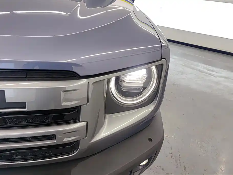 Haval Big Dog 2024 1.5T DCT Border Collie Edition фото 5