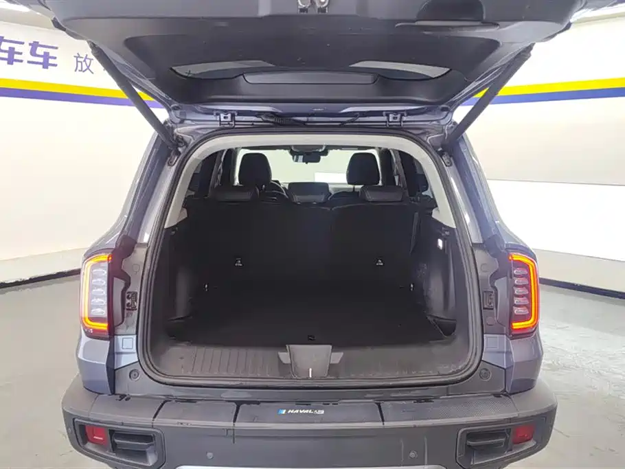 Haval Big Dog 2024 1.5T DCT Border Collie Edition фото 4