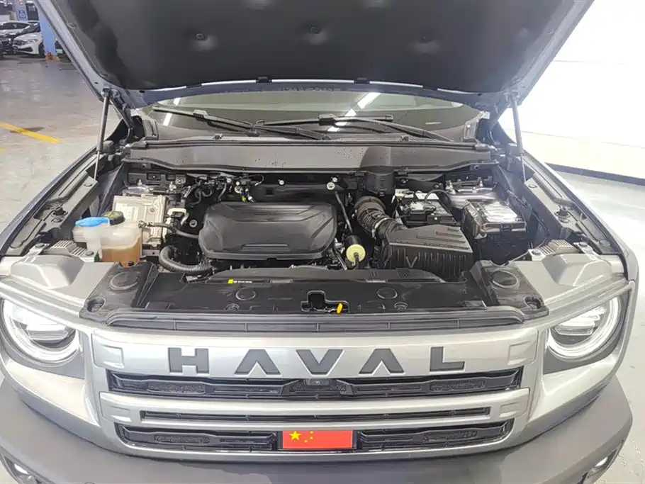 Haval Big Dog 2024 1.5T DCT Border Collie Edition фото 10