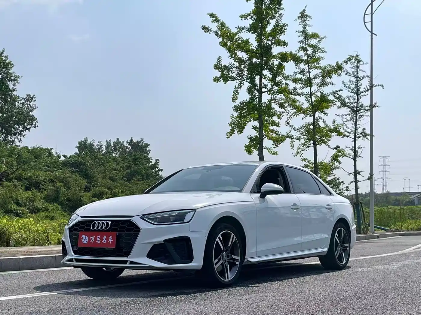 Audi A4L 2020 40 TFSI Luxury Dynamic