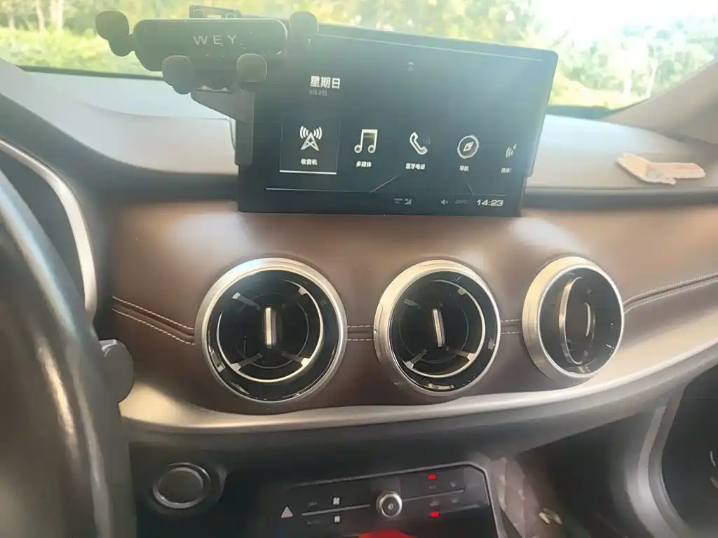 WEY VV6 2019 2018 2.0T 2WD Super Luxury China V