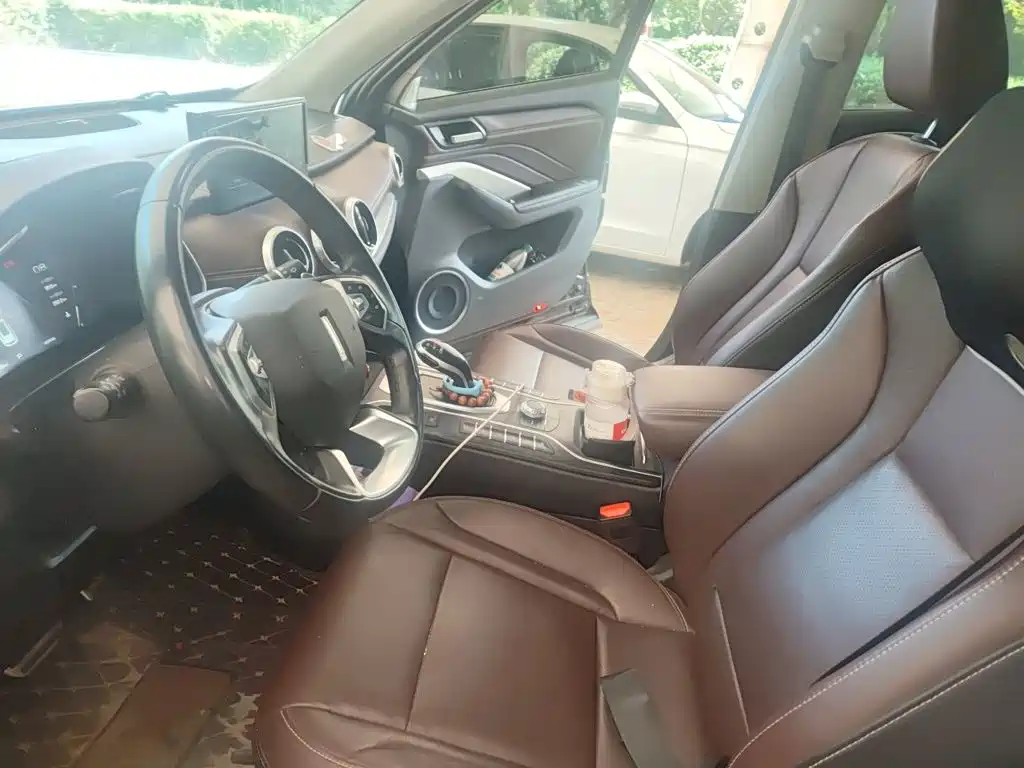 WEY VV6 2019 2018 2.0T 2WD Super Luxury China V