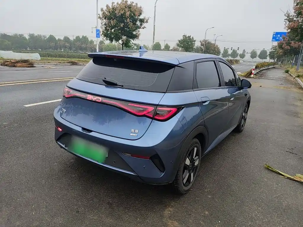 Фото 7 - BYD Dolphin