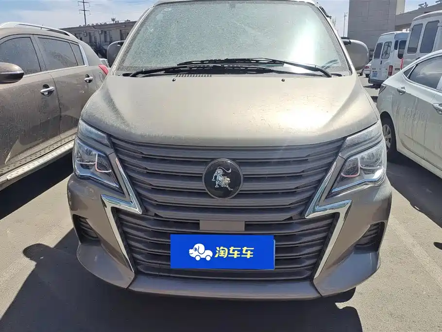 DONGFENG POPULAR LINGZHI