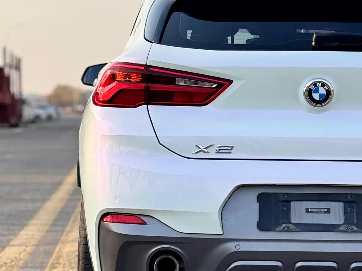 BMW X2 (Import) 2019 sDrive20i M Off-Road Package China VI фото 30