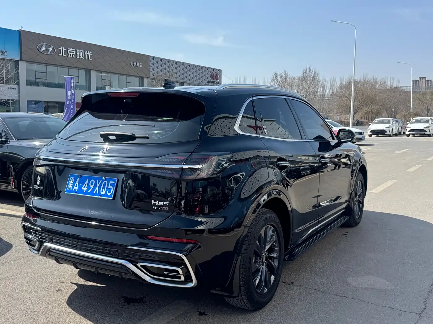 Hongqi HS5 2023 2.0T Flag Pro 500,000 Units Commemorative Edition фото 5