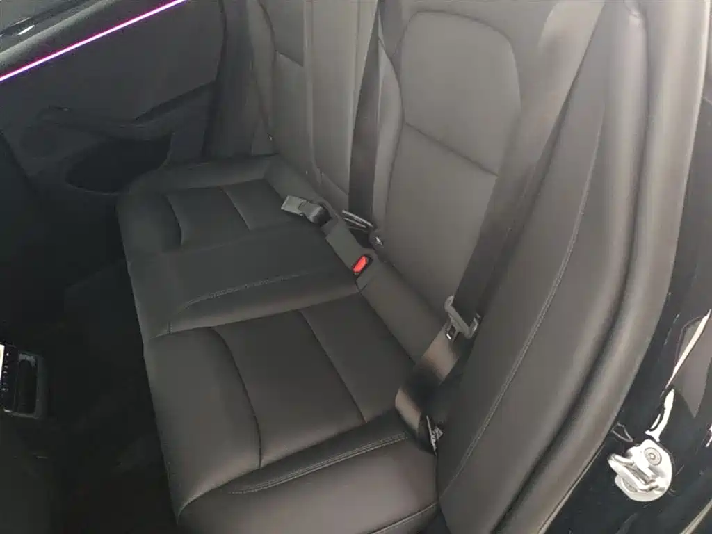 Tesla Model 3 2025 2025 Model Rear-Wheel Drive Edition