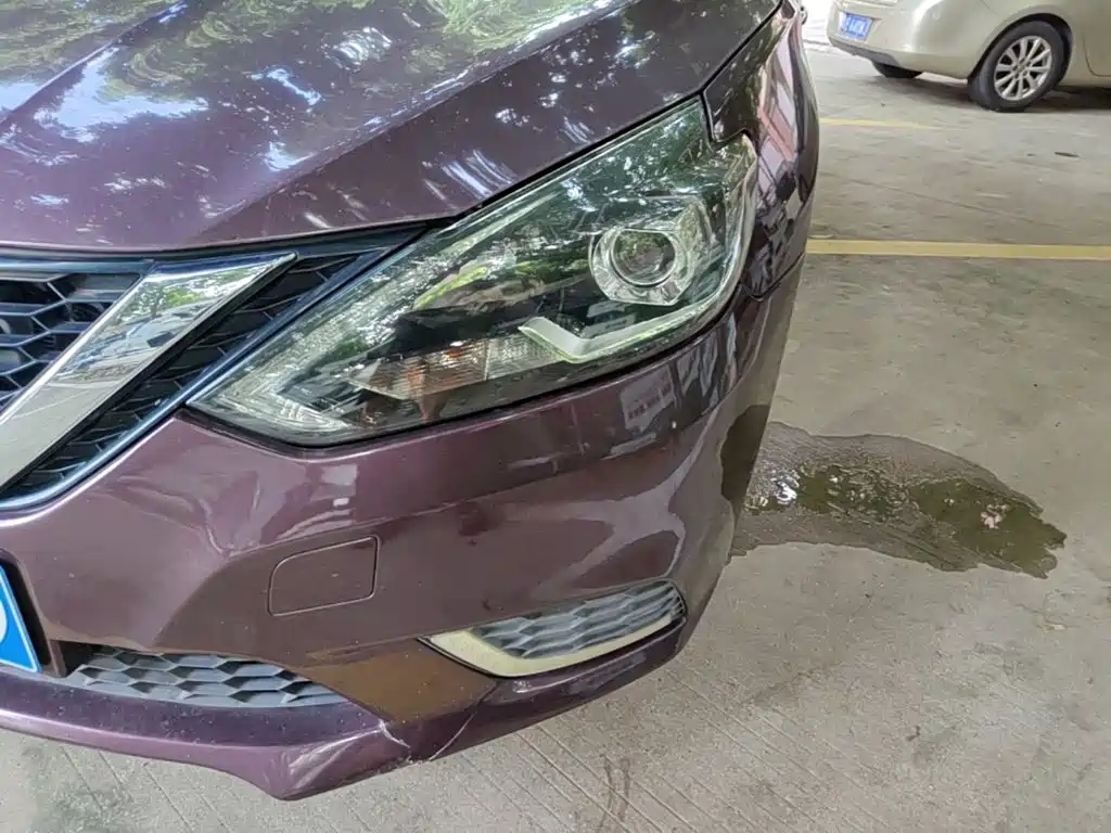 Фото 24 - Nissan Sylphy