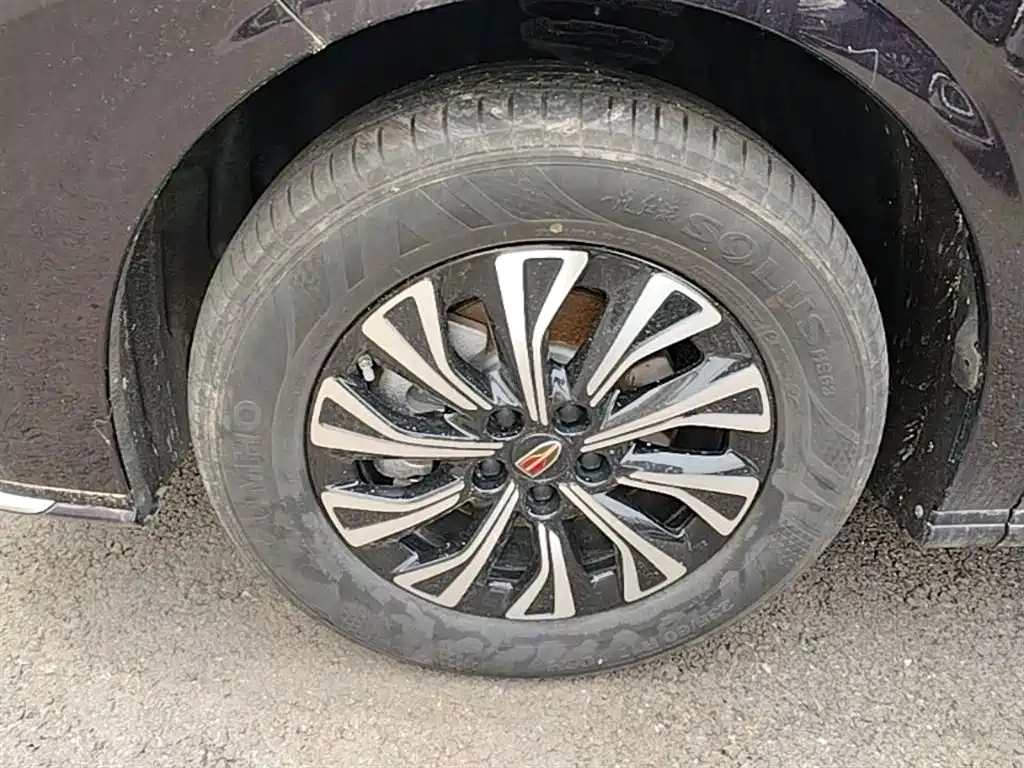 Hongqi HQ9 PHEV 2024 Model 2.0T AWD Business Edition фото 23