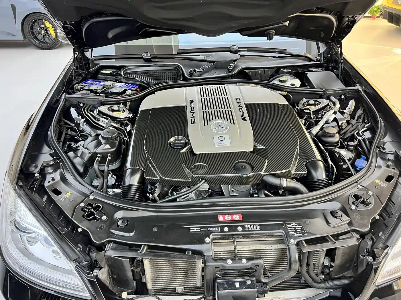Mercedes-Benz S-Class AMG 2010 AMG S 65 фото 20