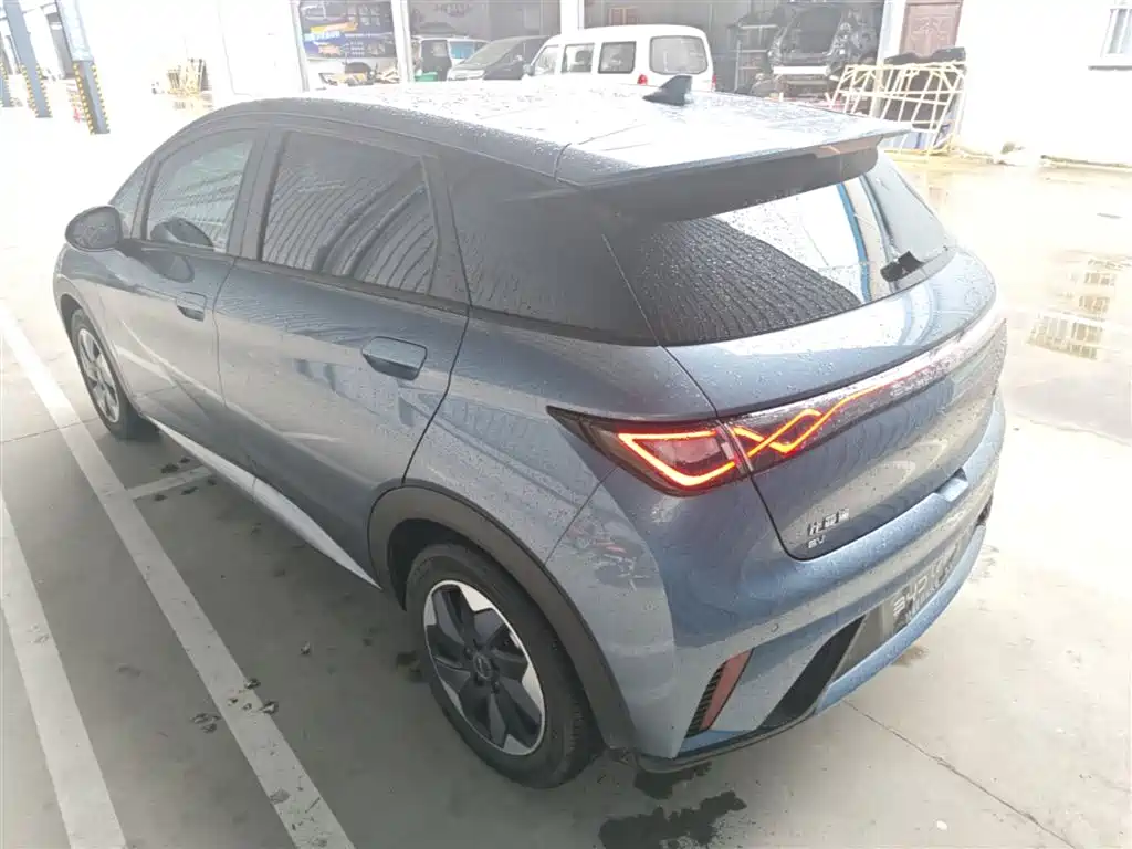 BYD Dolphin 2024 Glory Edition 420km Fashion Edition фото 5