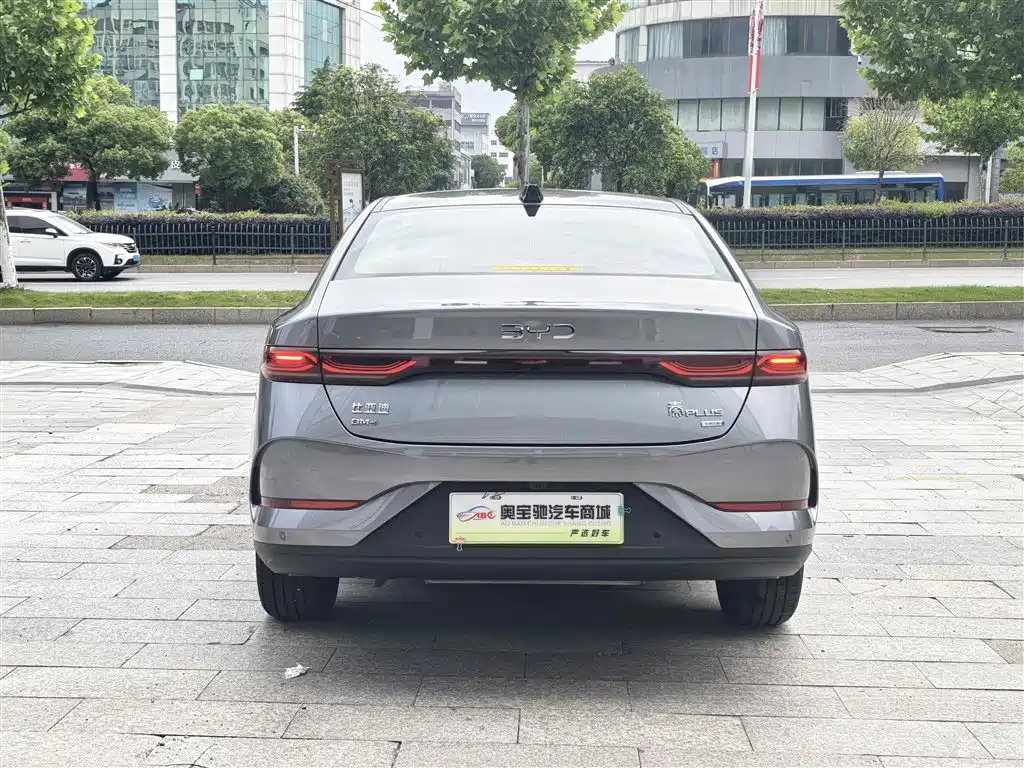 BYD Qin PLUS 2025 DM-i Smart Drive Edition 55KM Surpassing Type фото 8