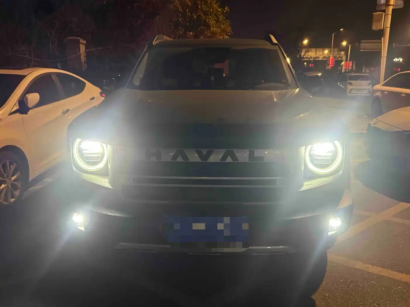 HAVAL BIG DOG