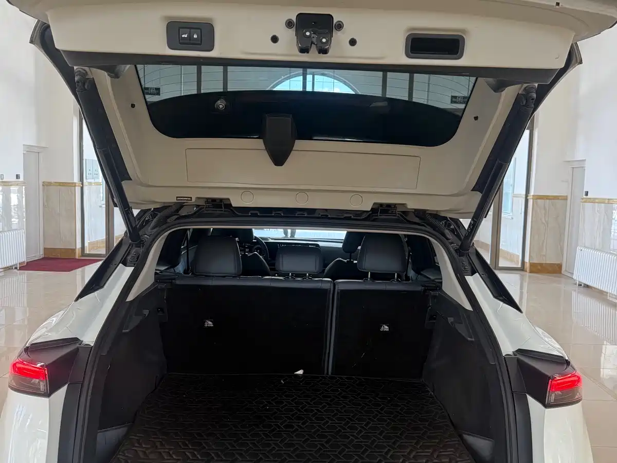 Nissan ARIYA 2023 2022 4WD High Performance Top Edition