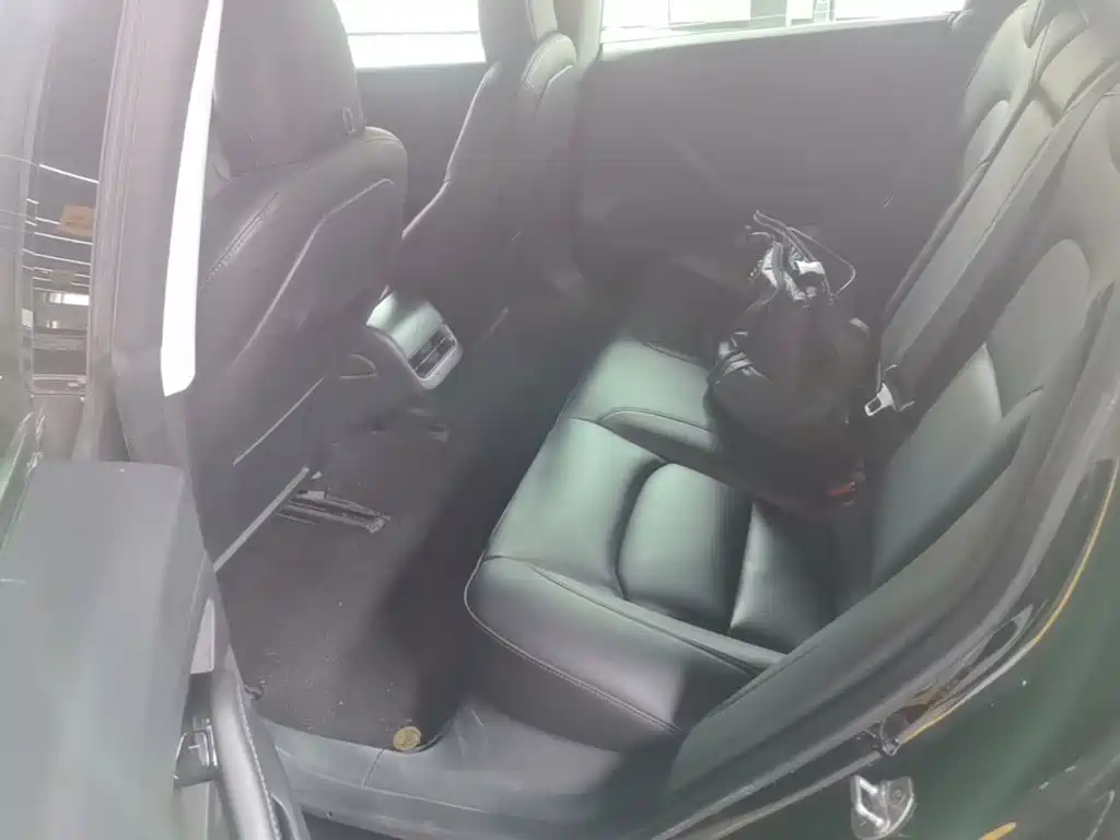 Tesla Model 3 2020 2020 Standard Range Rear-Wheel Drive Upgrade