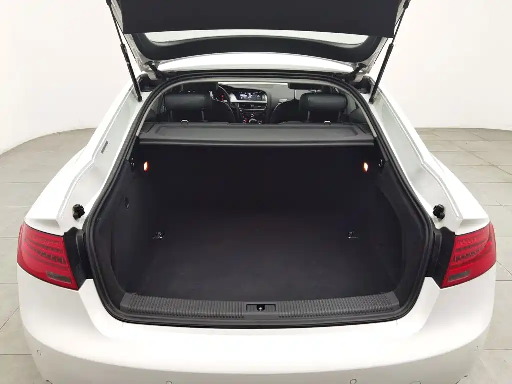 Фото 16 - Audi A5 (Import)