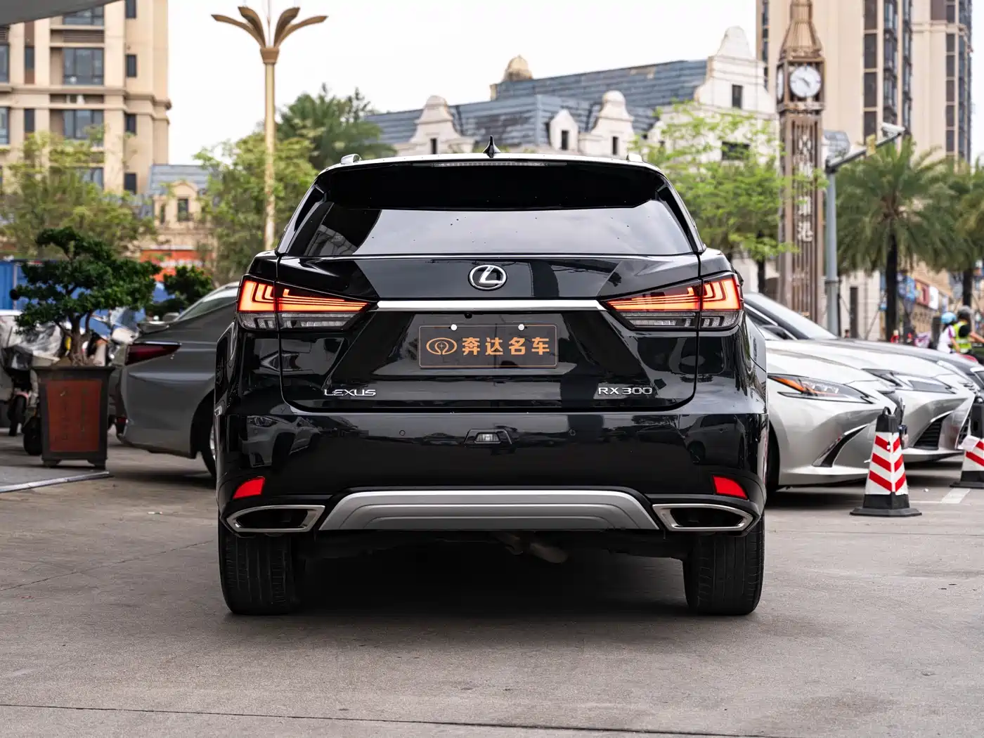 LEXUS RX